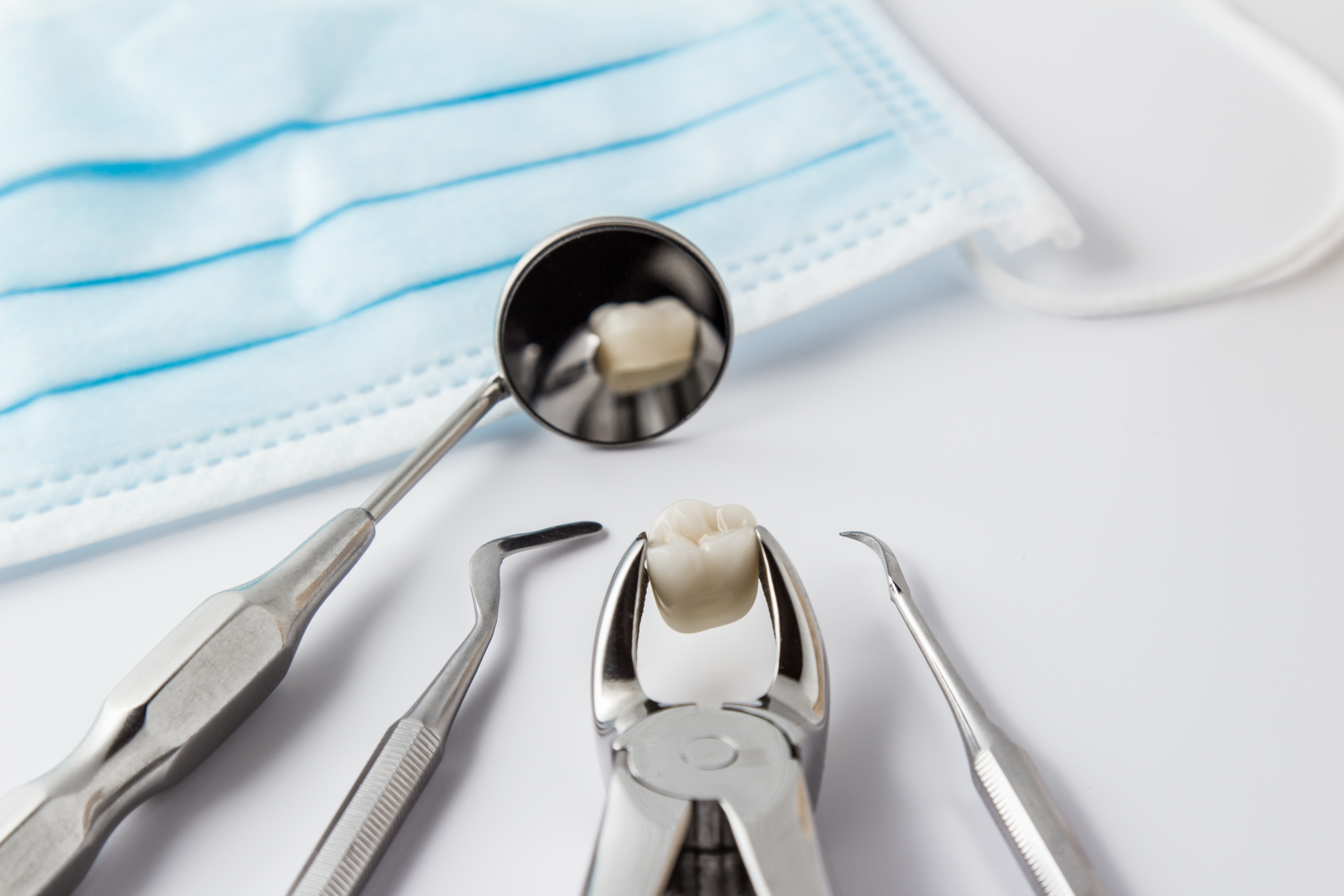 An extracted tooth at Watermark Dentistry in Normandy Park, WA